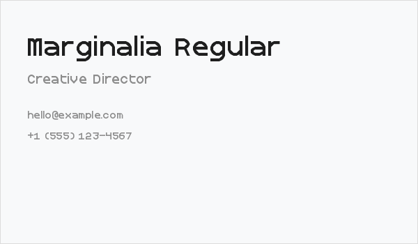 Marginalia Regular Business Card