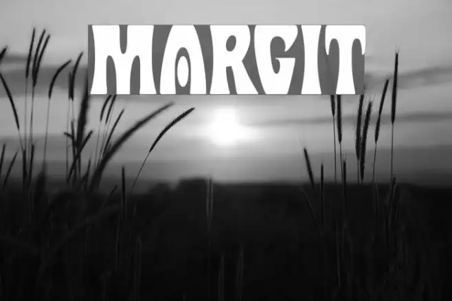 Margit Example 1