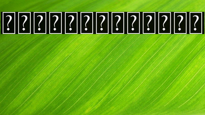 Margo Swash Example 3