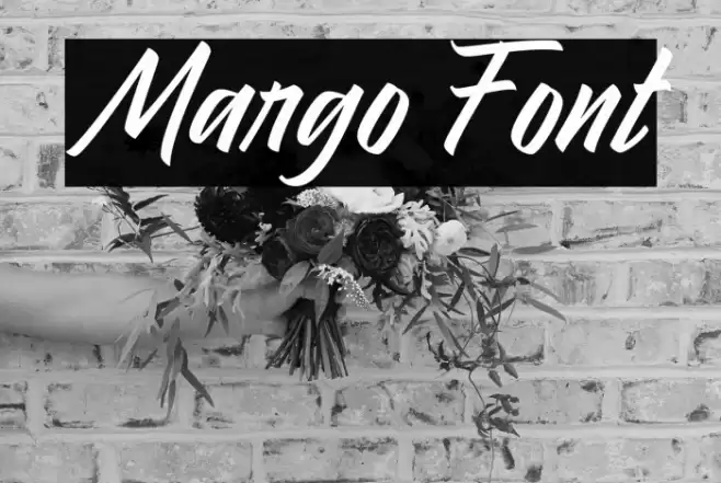 Margo Font examples