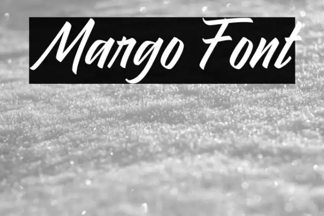 Margo Font examples