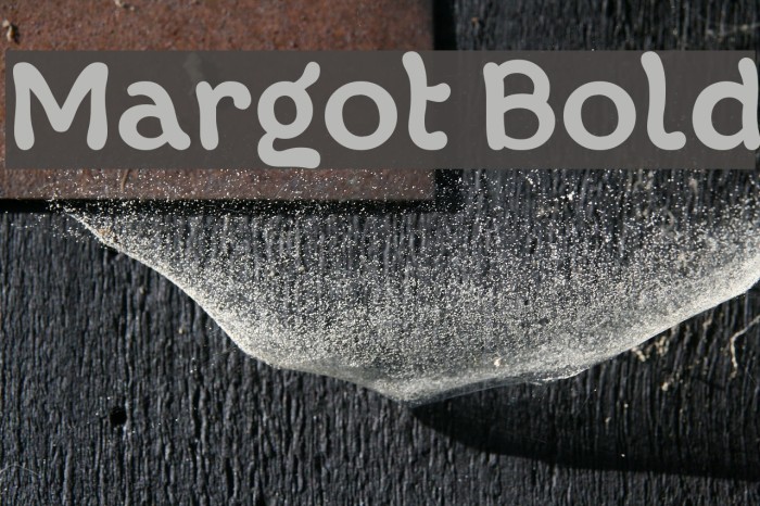 Margot Bold Font examples
