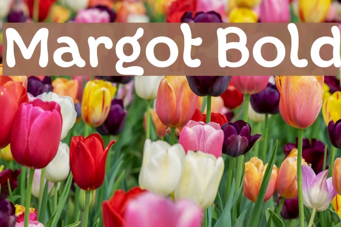 Margot Bold Font examples