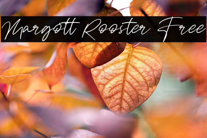 Margott Rooster Free Example 1