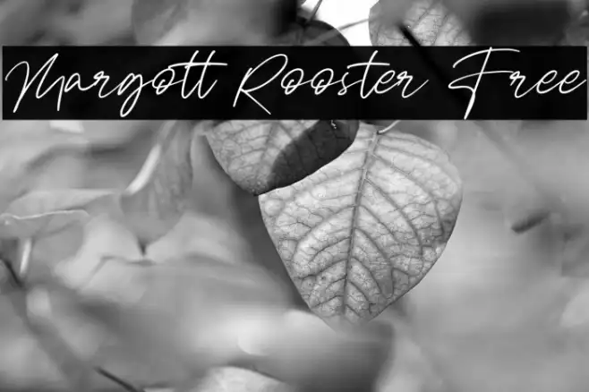 Margott Rooster Free Example 1