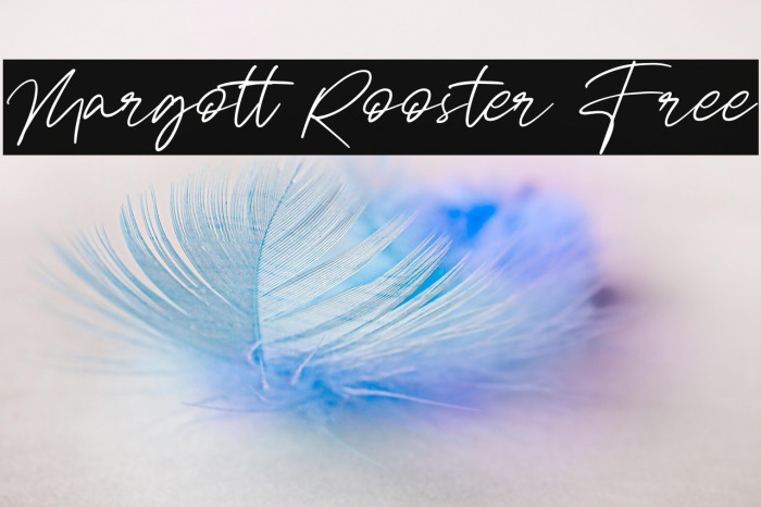 Margott Rooster Free Example 2