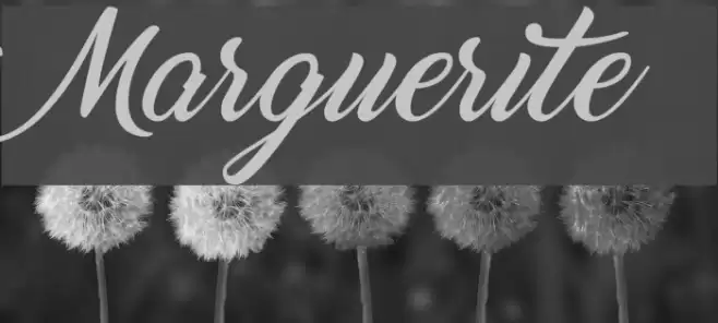 Marguerite Font examples