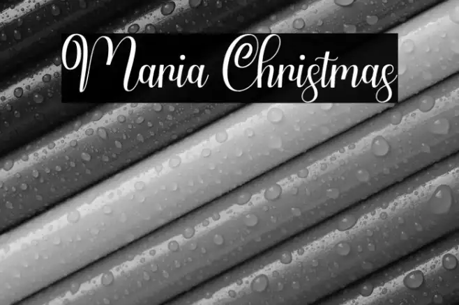 Maria Christmas Example 3
