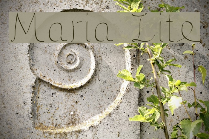 Maria Lite Font examples