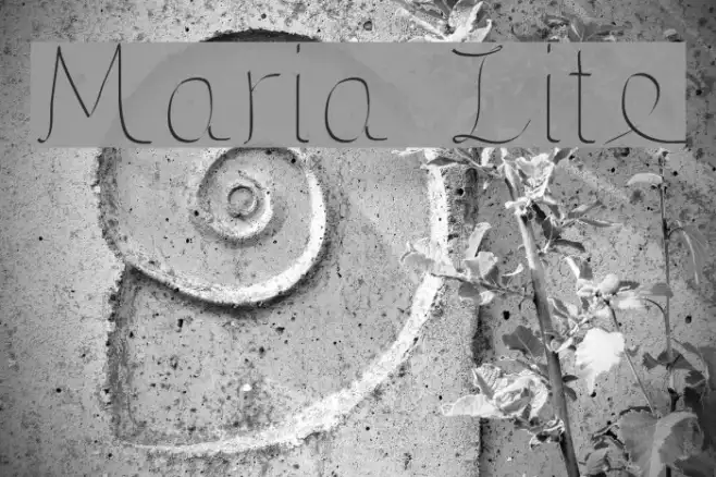 Maria Lite Example 1