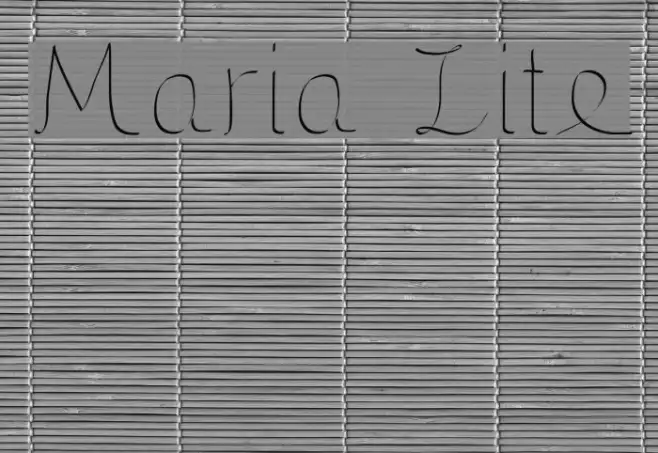 Maria Lite Example 2