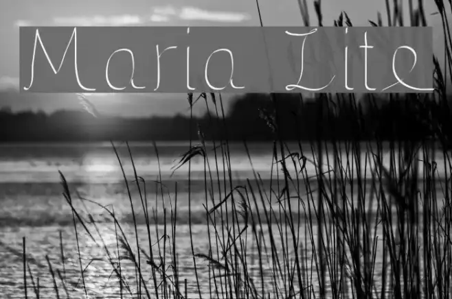 Maria Lite Example 3