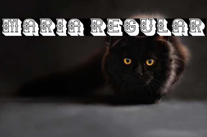 Maria Regular Example 1