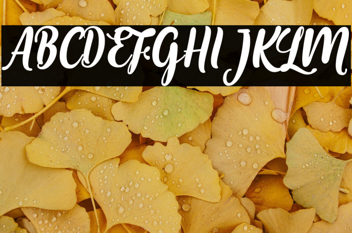 MariaAishaneScript Example 3