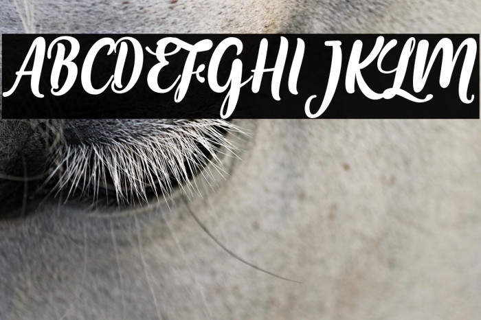 MariaAishaneScript Example 2