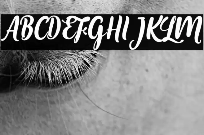 MariaAishaneScript Font examples