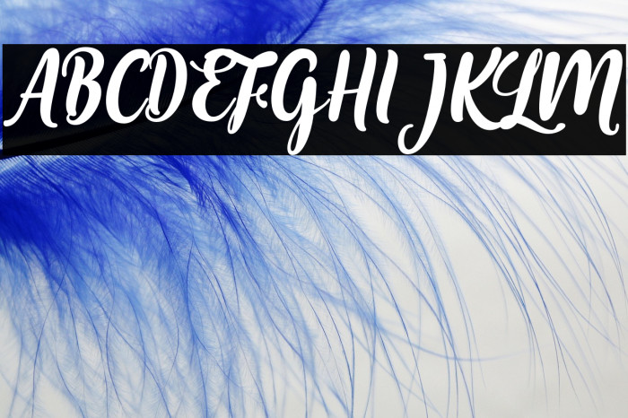 MariaAishaneScript Example 3