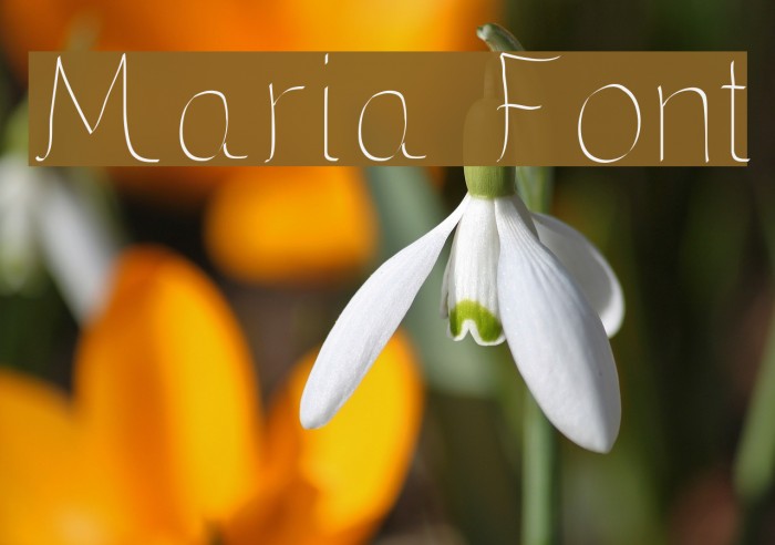 Maria Font examples