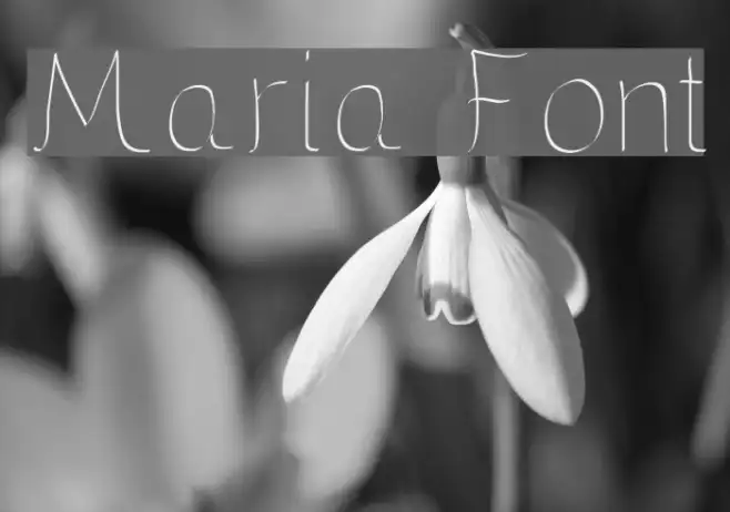 Maria Example 2