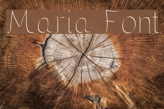 Maria Font examples
