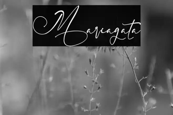 Mariagata Font examples