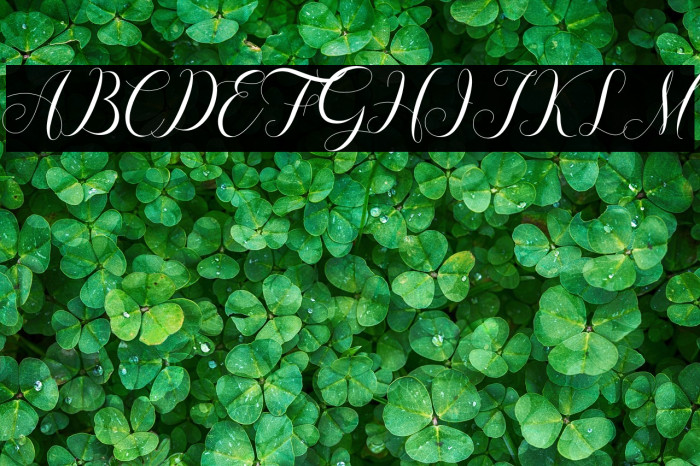 Mariana Oghawa Example 3