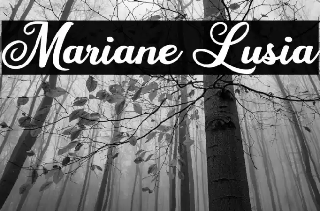 Mariane Lusia Font examples