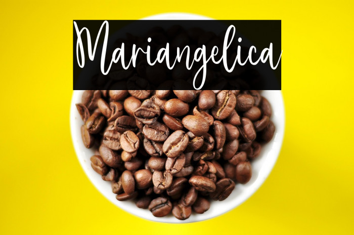 Mariangelica Example 2