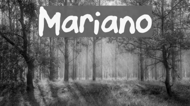 Mariano Font examples