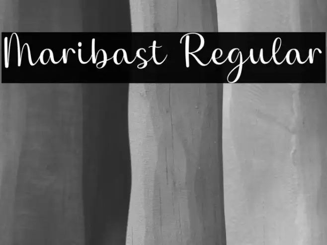 Maribast Regular Example 1