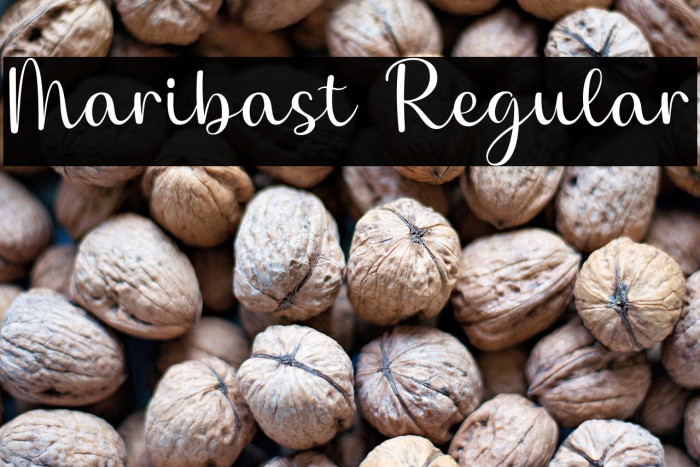 Maribast Regular Example 2