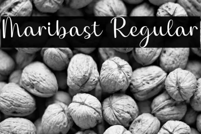 Maribast Regular Example 2