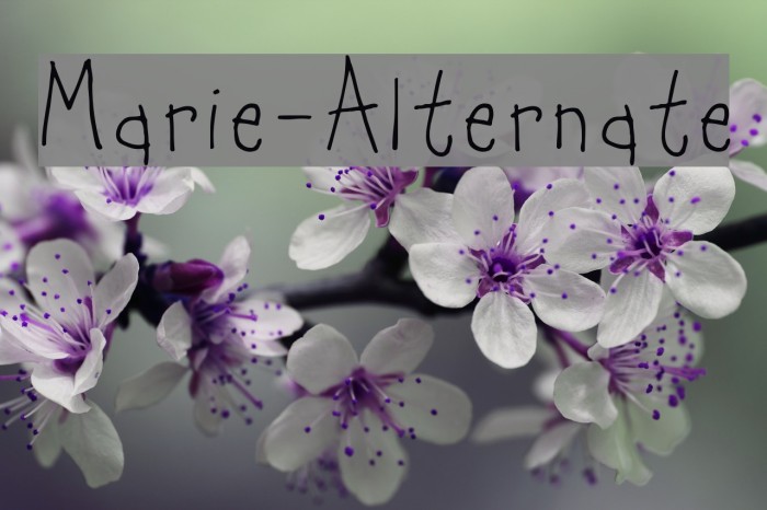 Marie-Alternate Font examples
