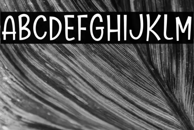 Marie Clara Font examples