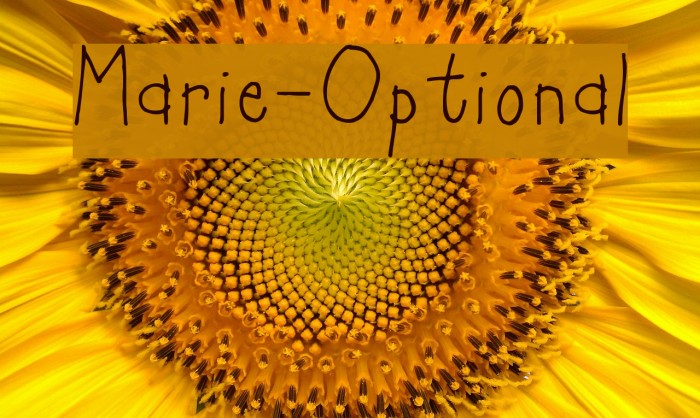 Marie-Optional Font examples