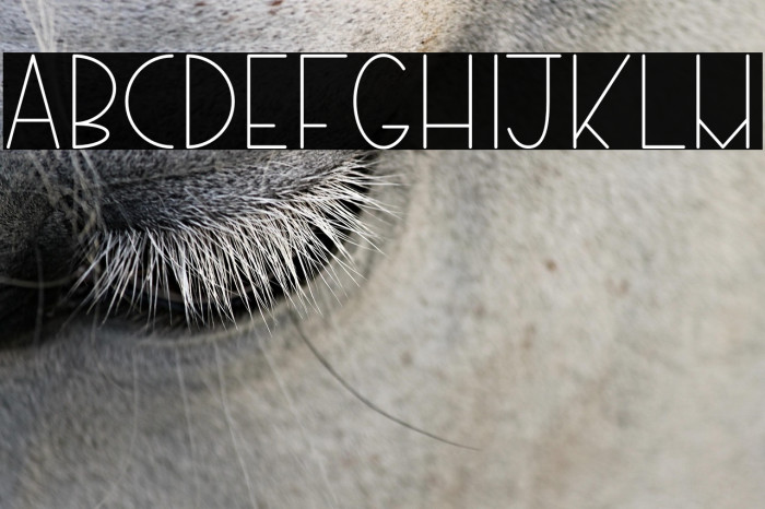 Marie-Thin Example 3