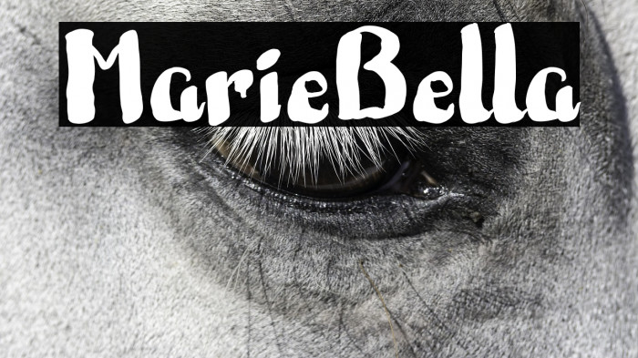 MarieBella Example 2