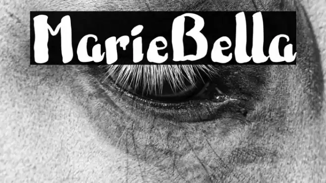 MarieBella Font examples