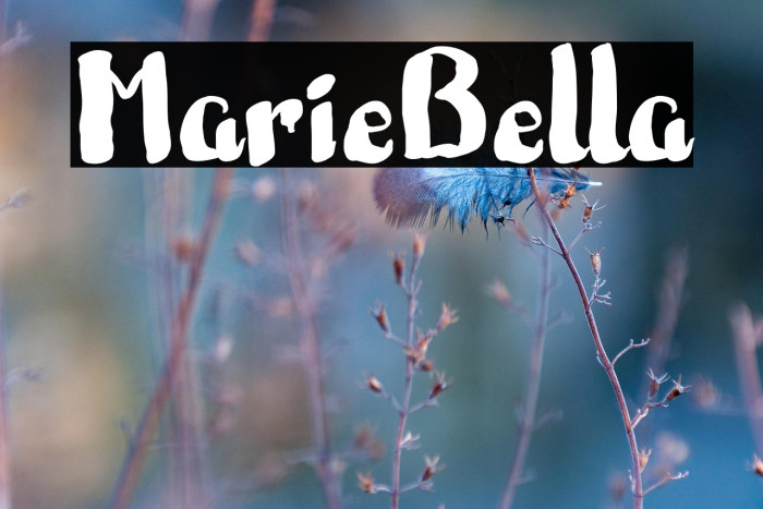 MarieBella Example 3