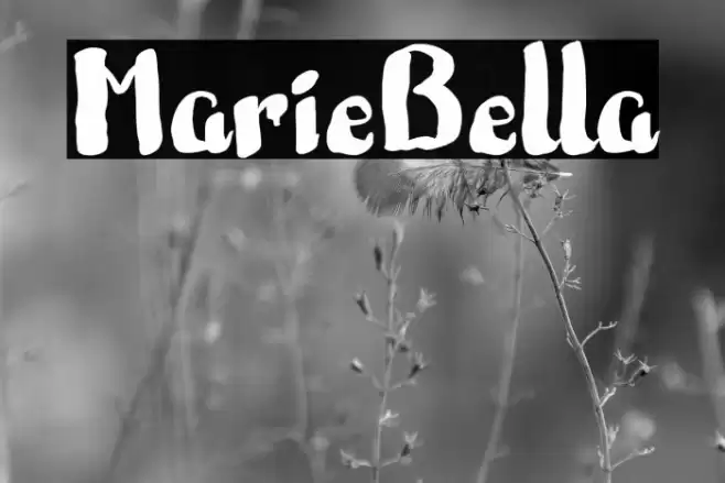 MarieBella Font examples