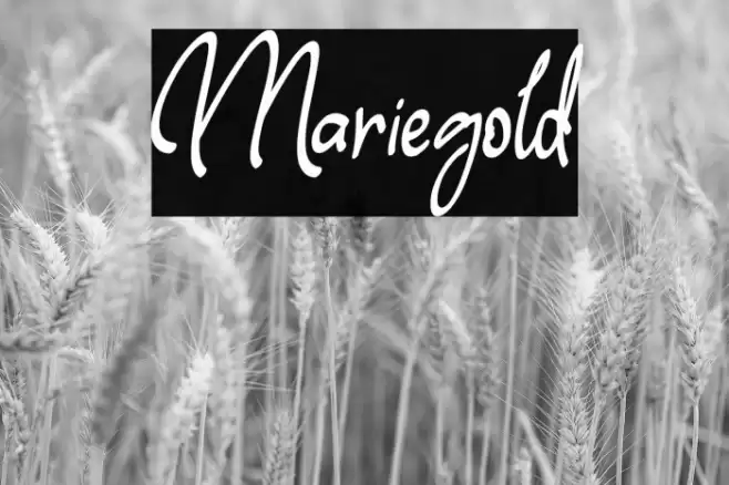 Mariegold Font examples