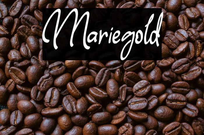Mariegold Example 2