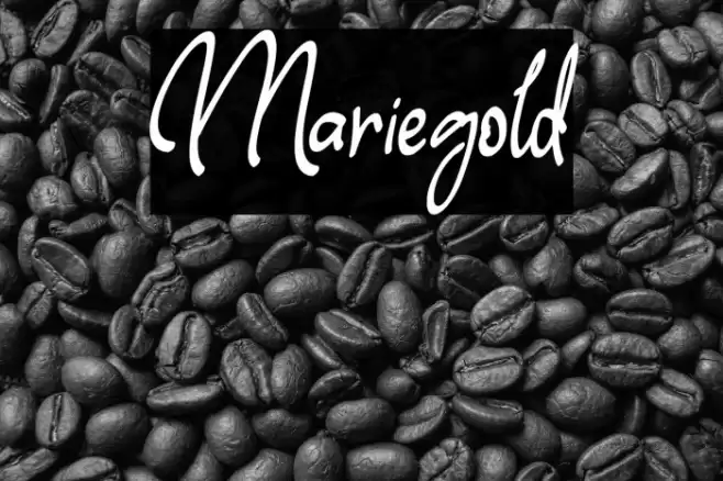 Mariegold Font examples