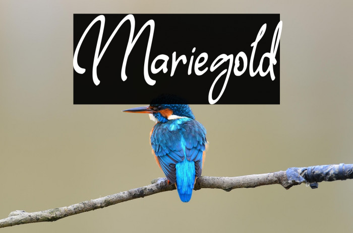 Mariegold Example 3