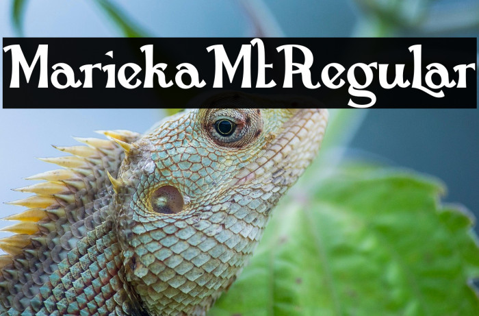 MariekaMtRegular Example 1