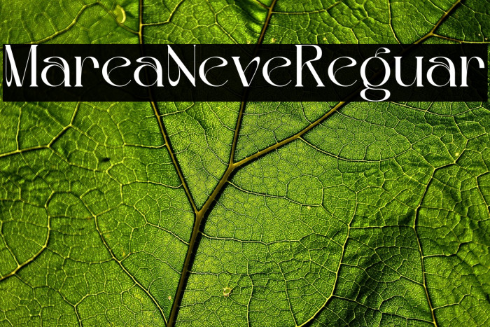 Mariella Noeve Regular Example 2