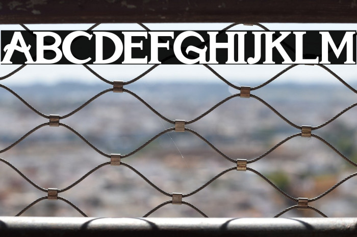 Marielle Franco Example 1