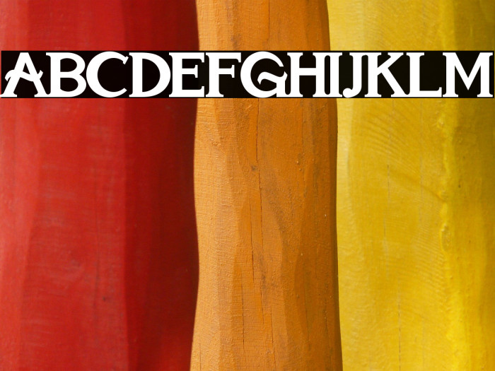 Marielle Franco Example 3