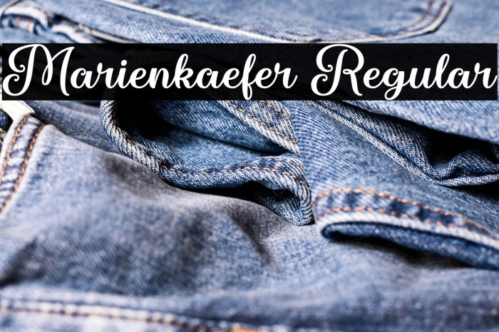 Marienkaefer Regular Example 1