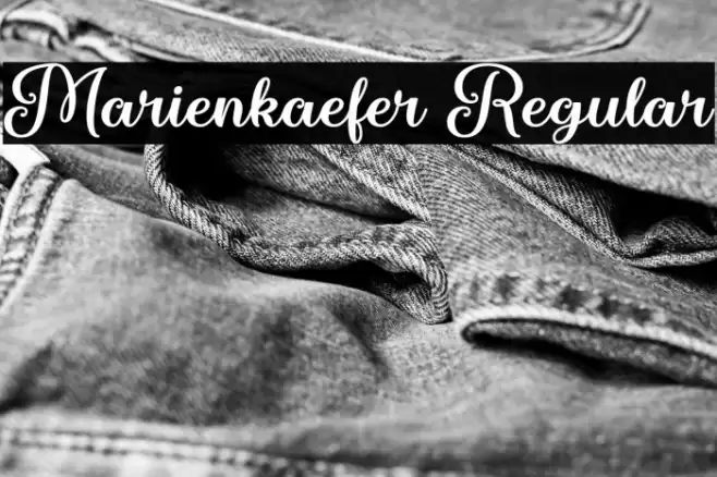 Marienkaefer Regular Font examples